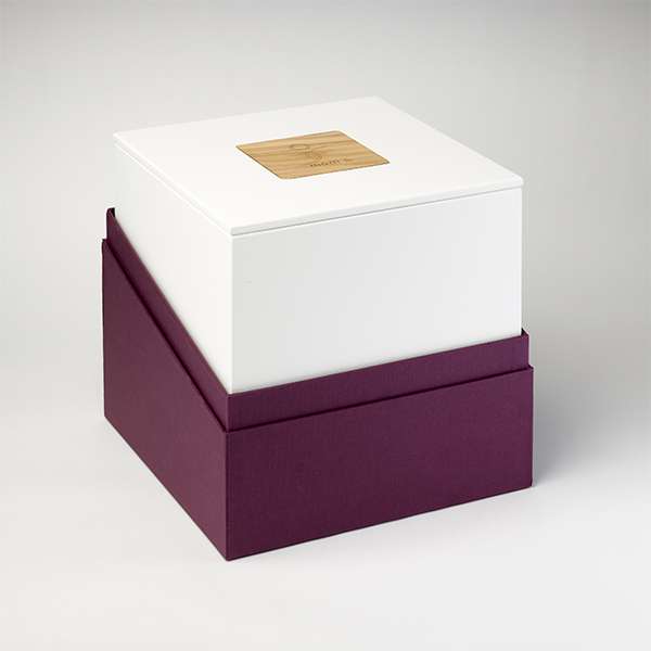 Cube correcteur d'environnement Mom ®