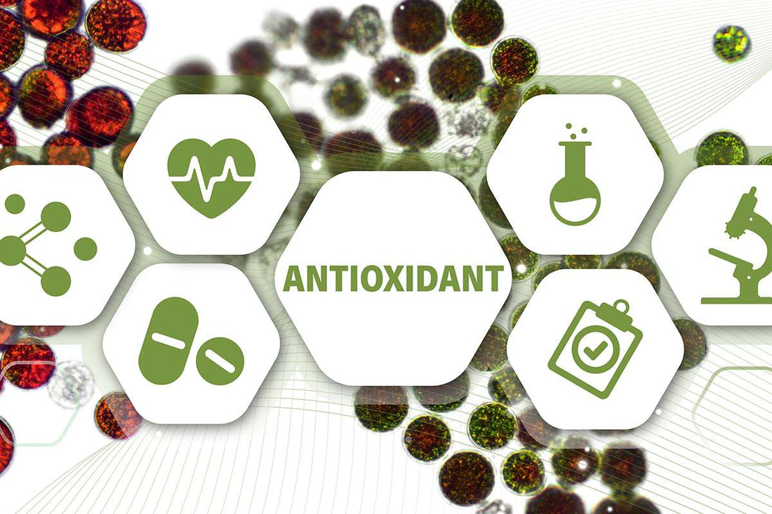 L’astaxanthine pour protéger les yeux et la vision