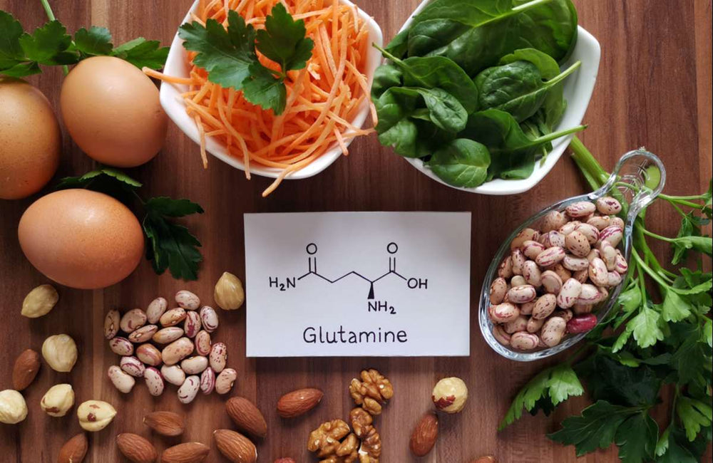 La glutamine, qu’est-ce que c’est ?
