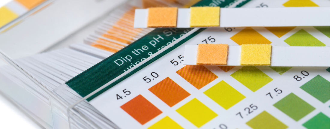 comprendre bandelettes test urinaire