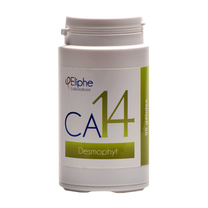 Desmophyt Eliphe CA14