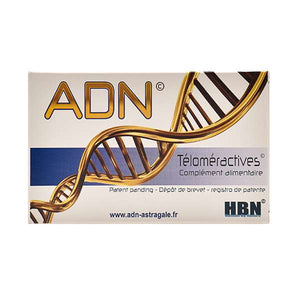 ADN Téloméractives