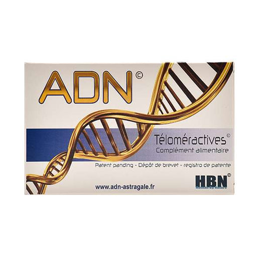 ADN Téloméractives HBN