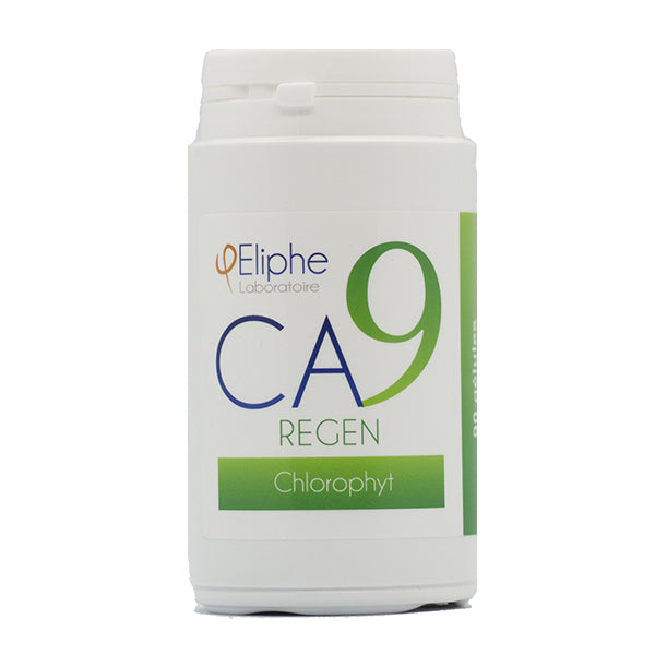 Chlorophyt Eliphe CA9